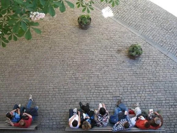 Foto - Castanea Old Town Hostel