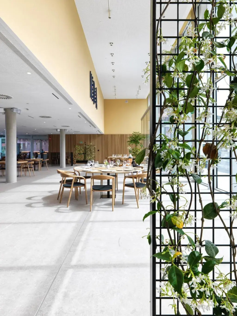 Foto - Noa Boutique Hotel
