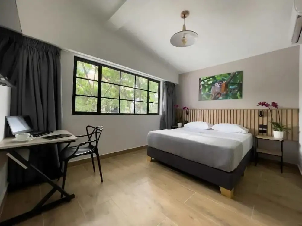 Photo - Vita Hotel Boutique - Aire Acondicionado & Desayuno