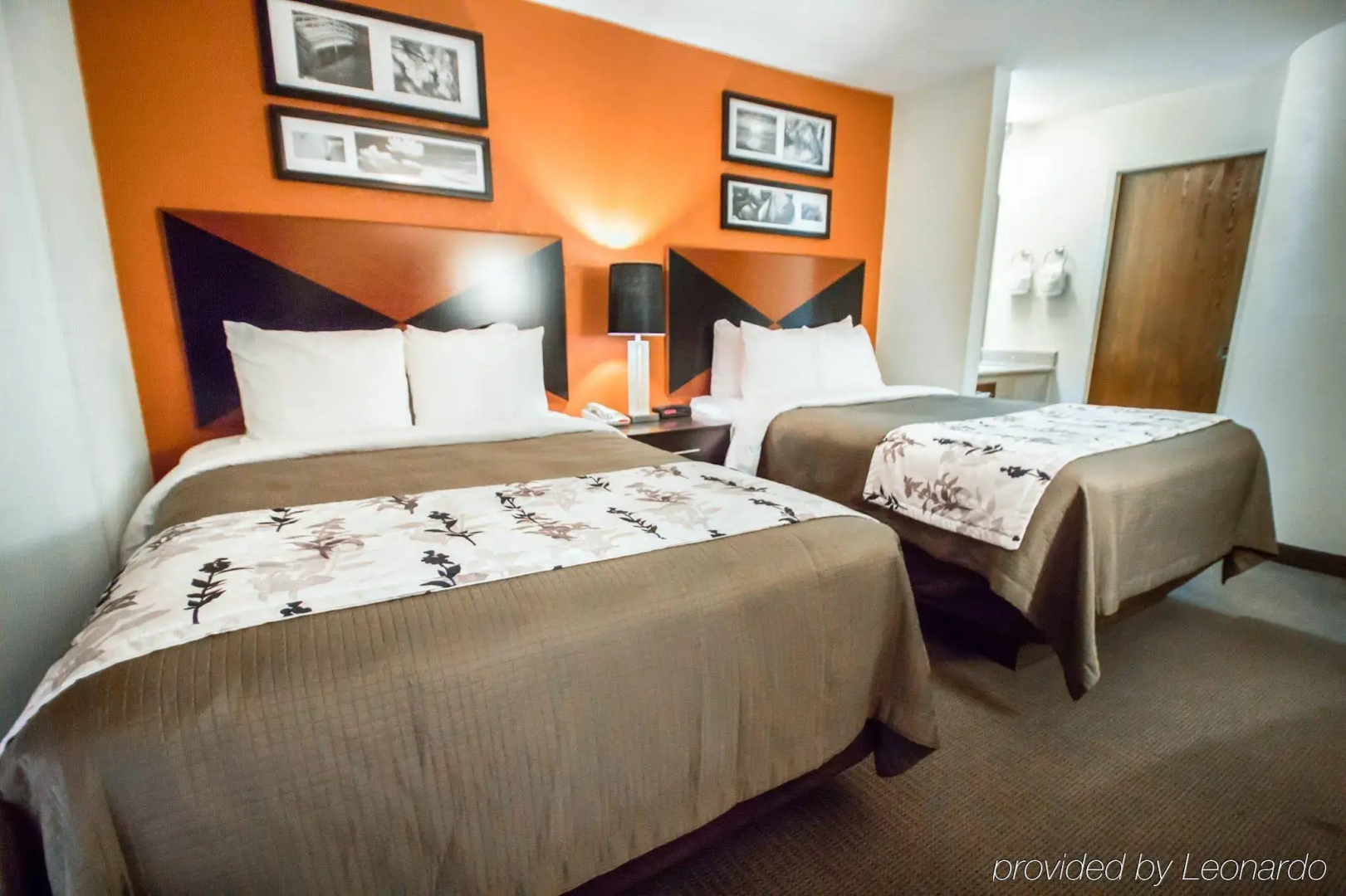 Foto - Sleep Inn Sarasota North