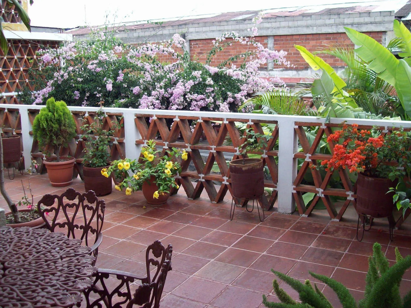 Photo - Don Valentino