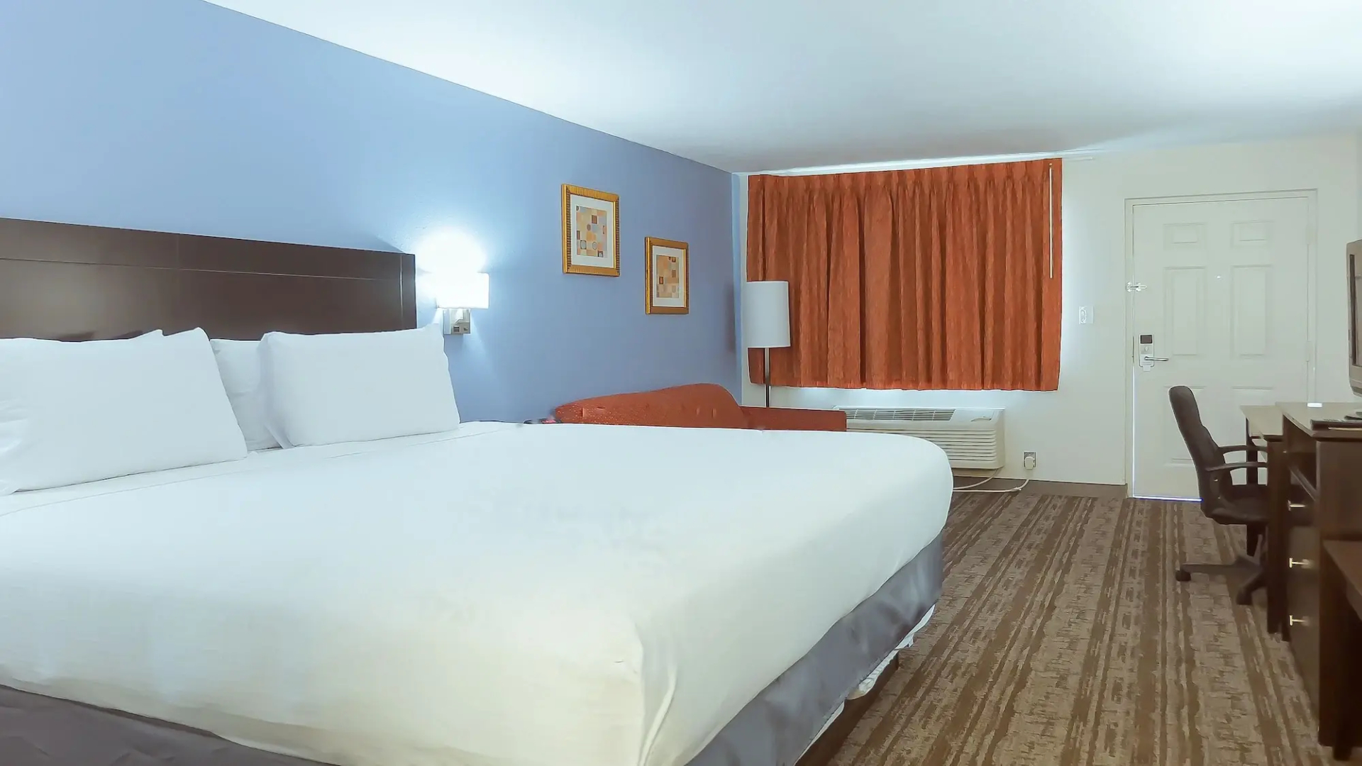 Foto - Hotel South Tampa & Suites