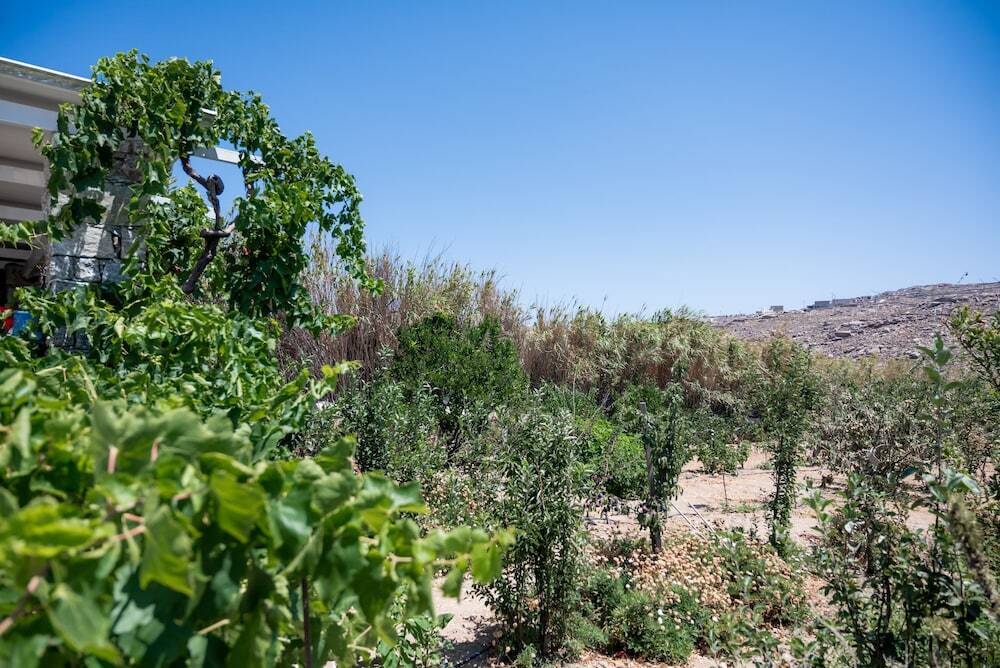 Foto - Spilia Suites Hotel Mykonos