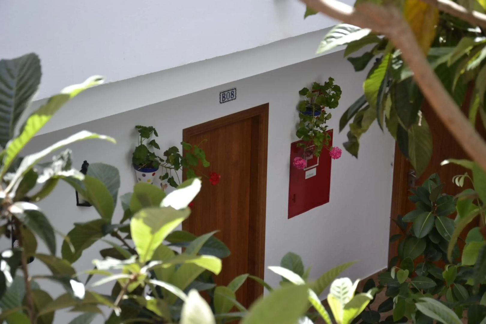 Photo - Hotel Oasis Atalaya
