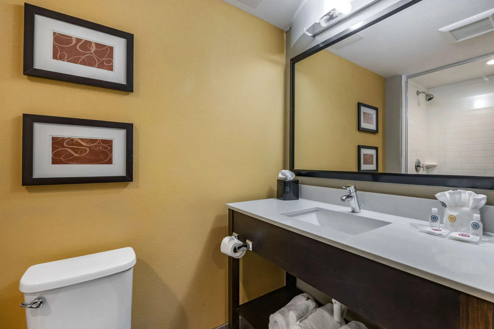 Foto - Comfort Suites Fort Lauderdale Airport South & Cruise Port