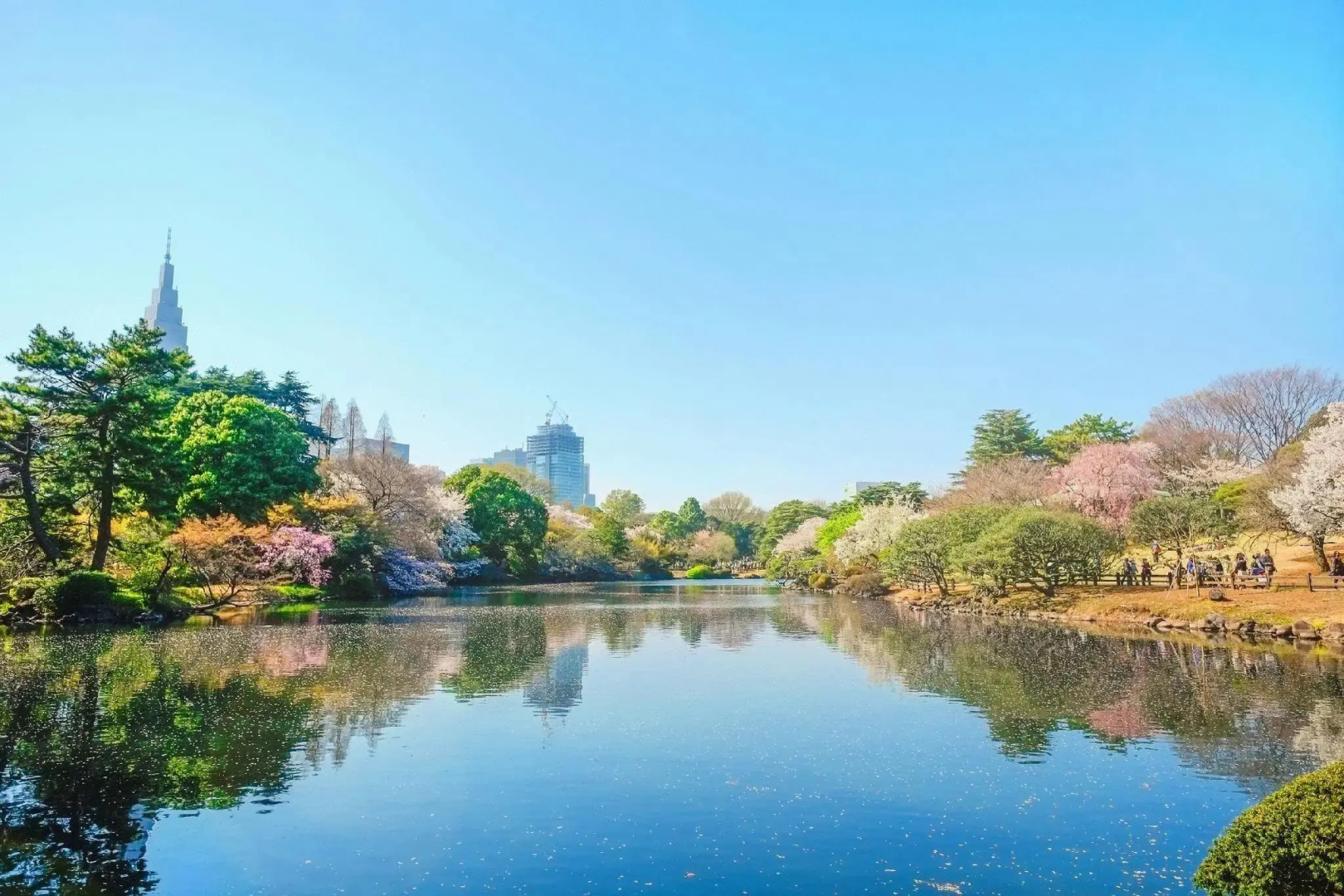 Foto - Residence Hotel Will Shinjuku