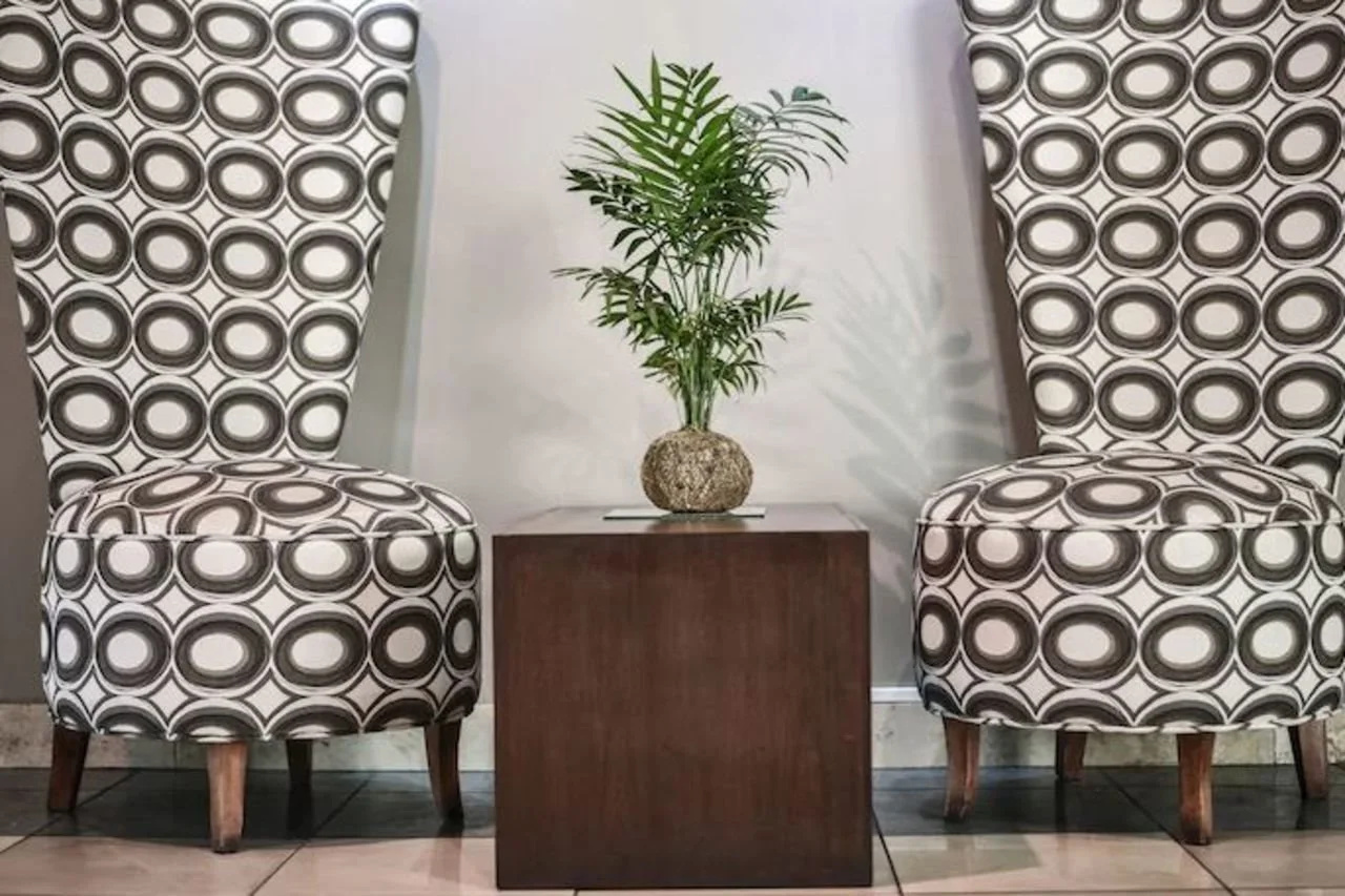 Foto - Portal Plaza Suites