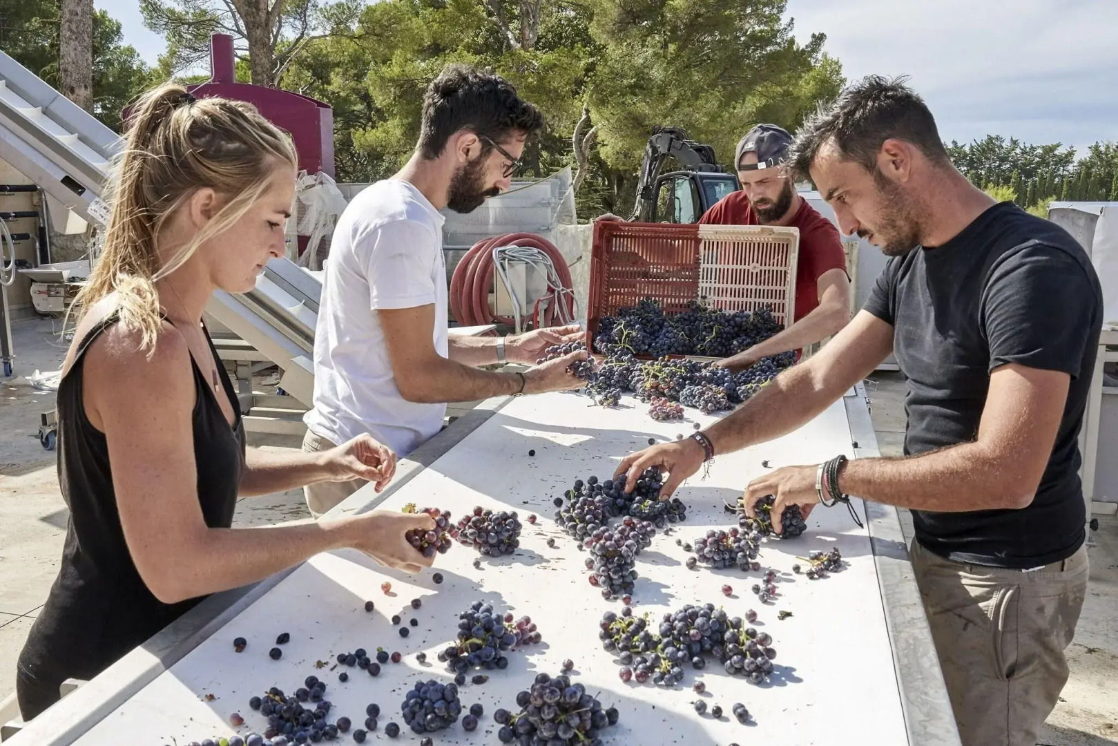 Foto - Château de la Gaude