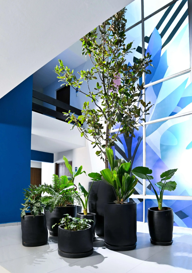 Photo - Vista Express Guadalajara Expo SureStay Collection by BW