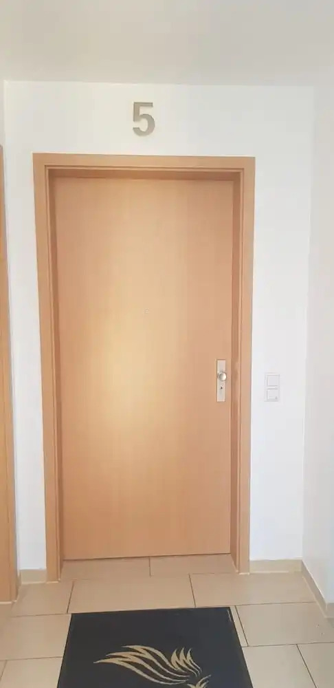 Photo - Sahara Falcon