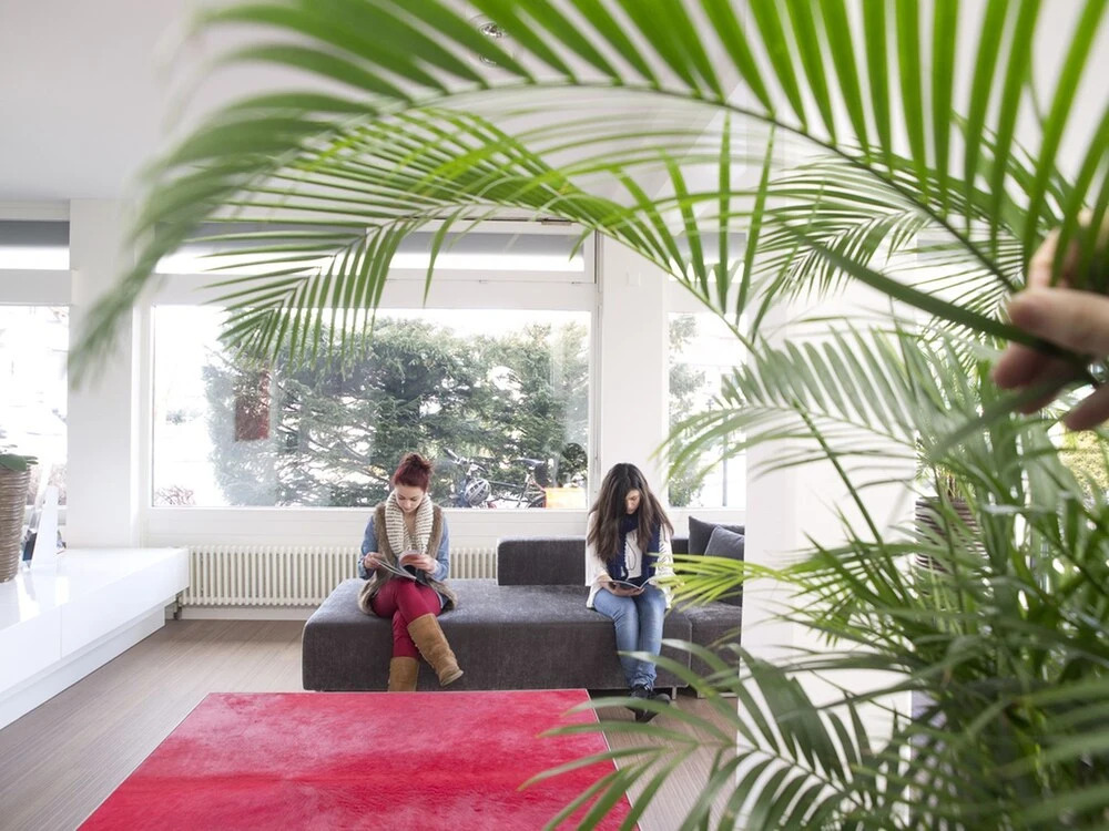 Foto - Hotel Holiday Thun