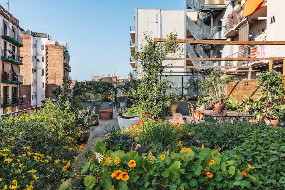 Foto - Hotel Brummell