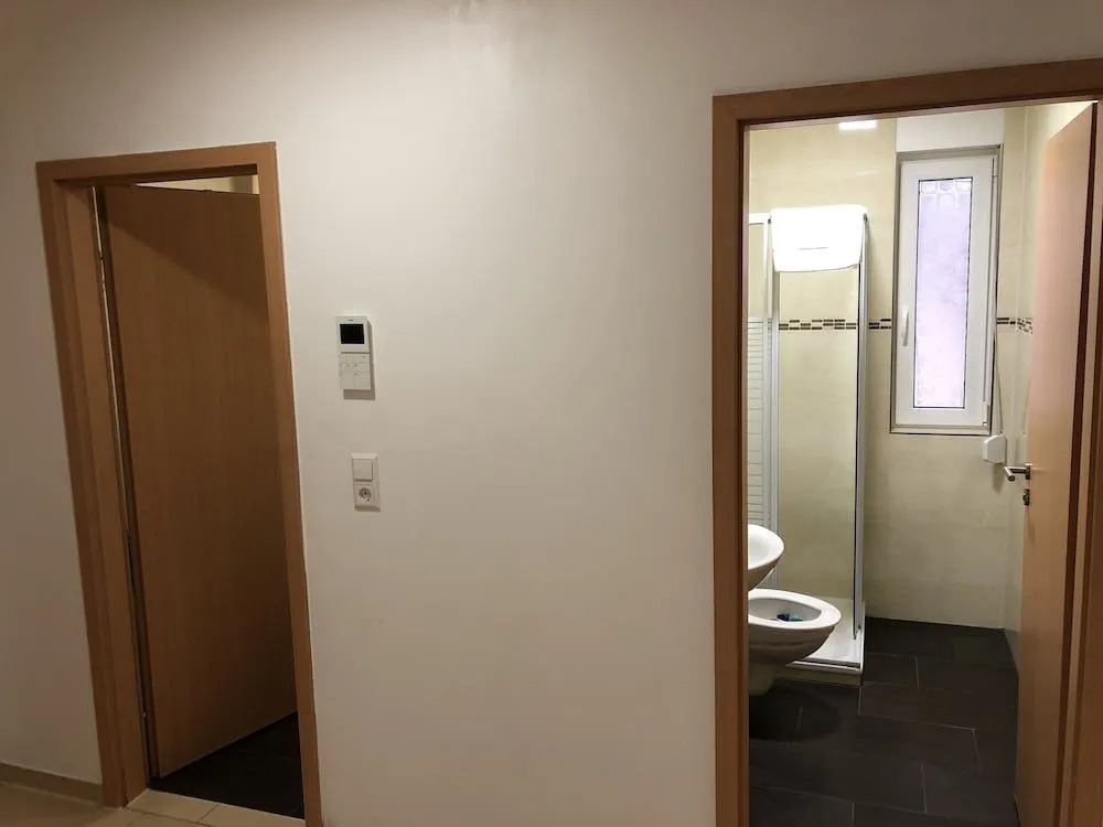 Photo - Sahara Falcon