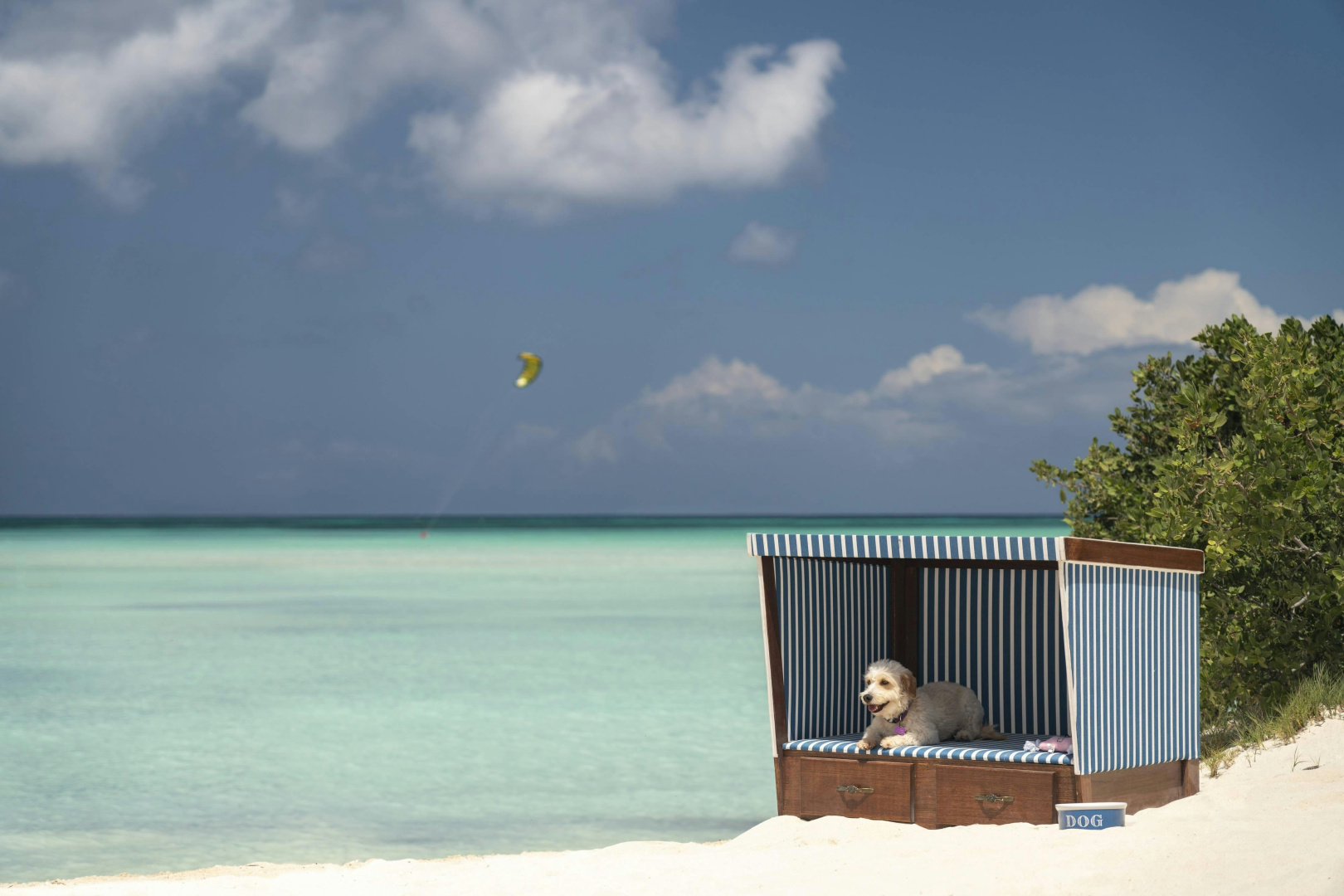 Photo - The Ritz-Carlton, Aruba