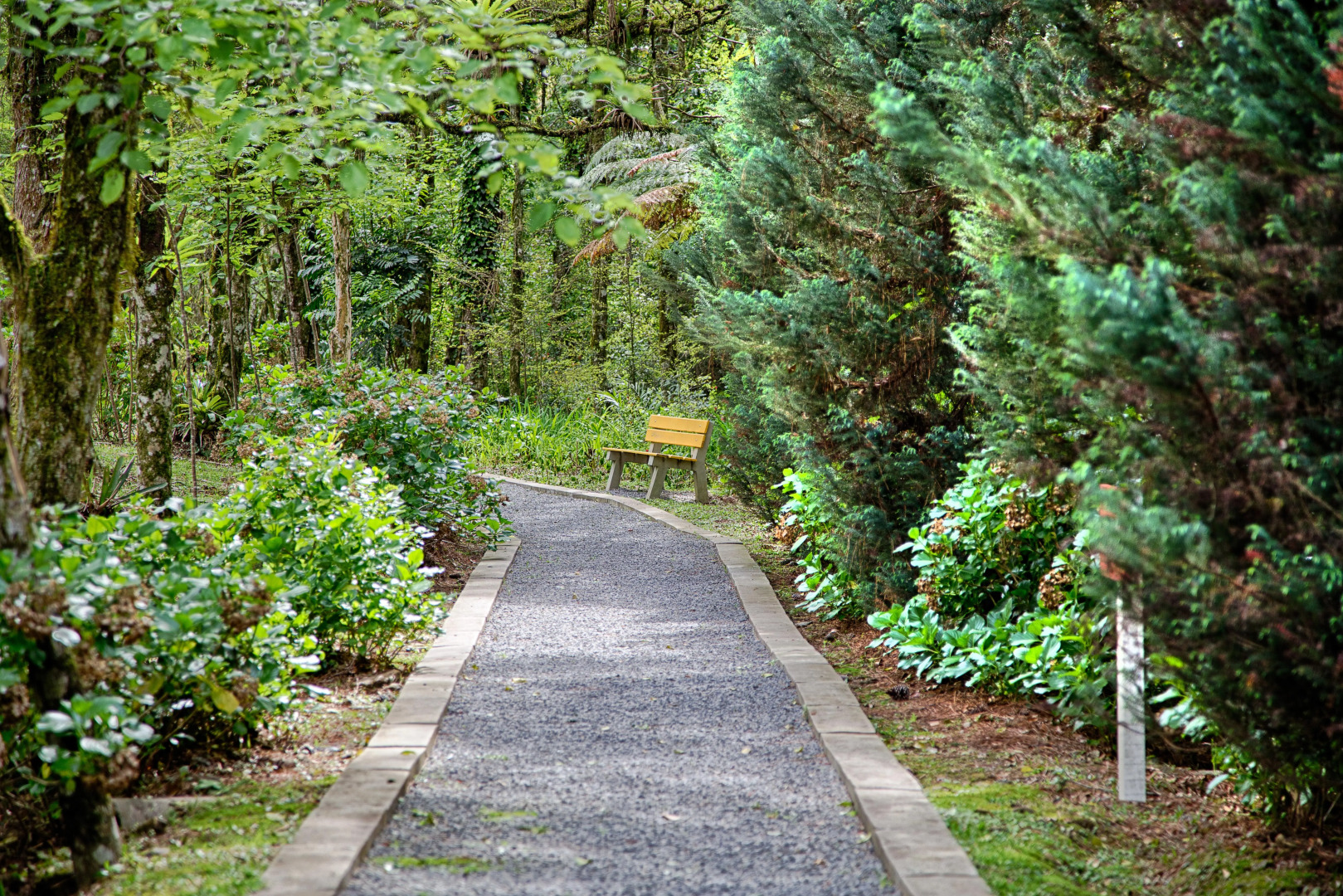 Foto - Hotel Gramado Palace