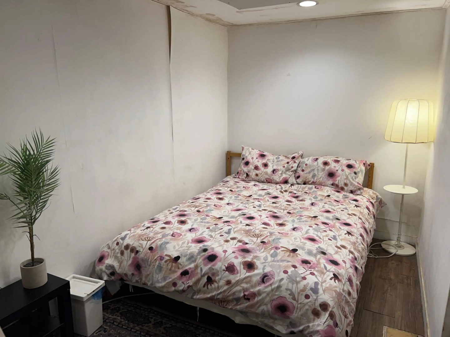 Foto - Hostel Seoul