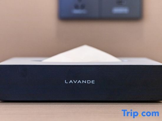 Lavande Hotels Dongguan Changping South Station Baihua Times Square Branch