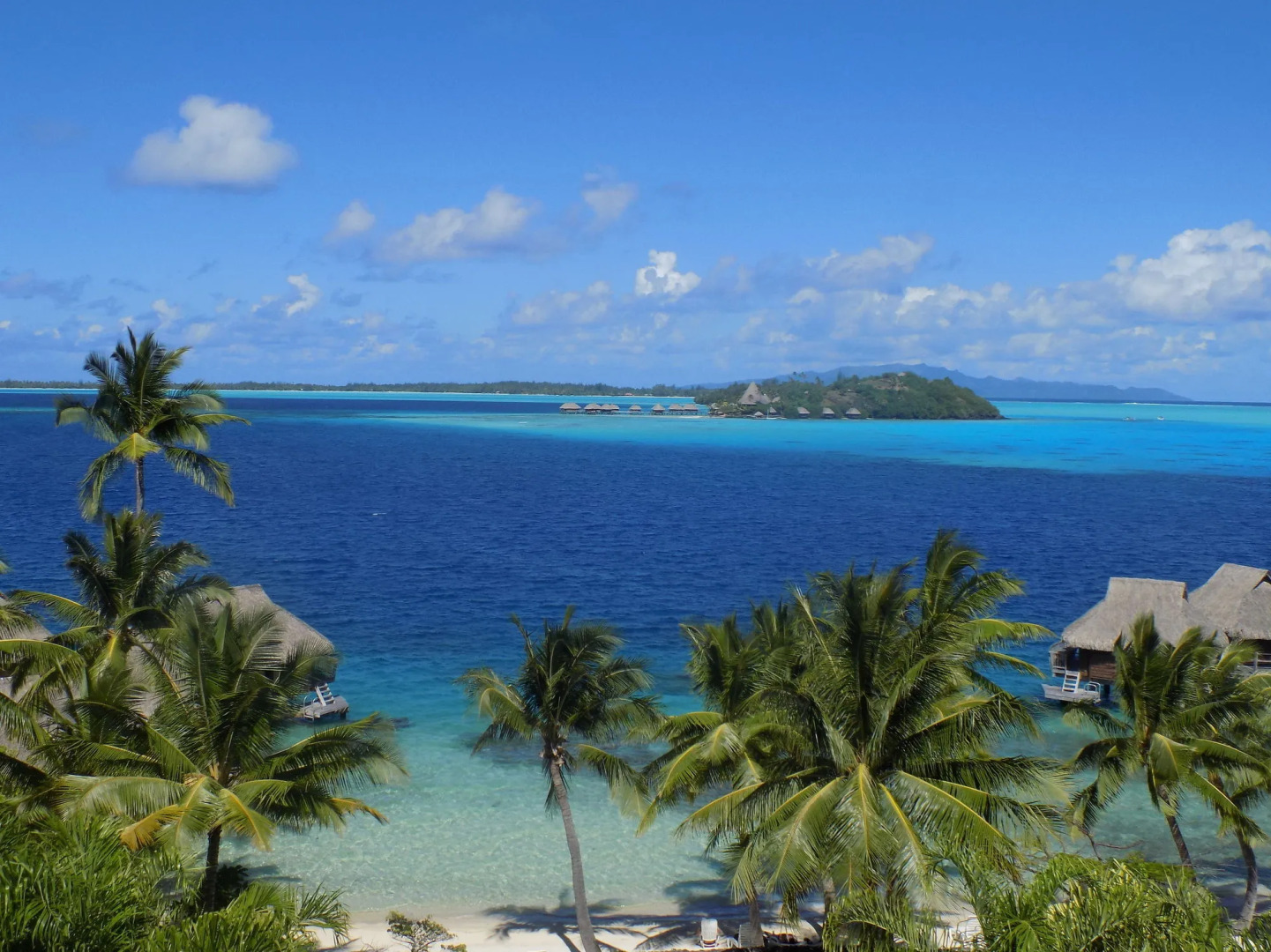 Photo - Maitai Bora Bora