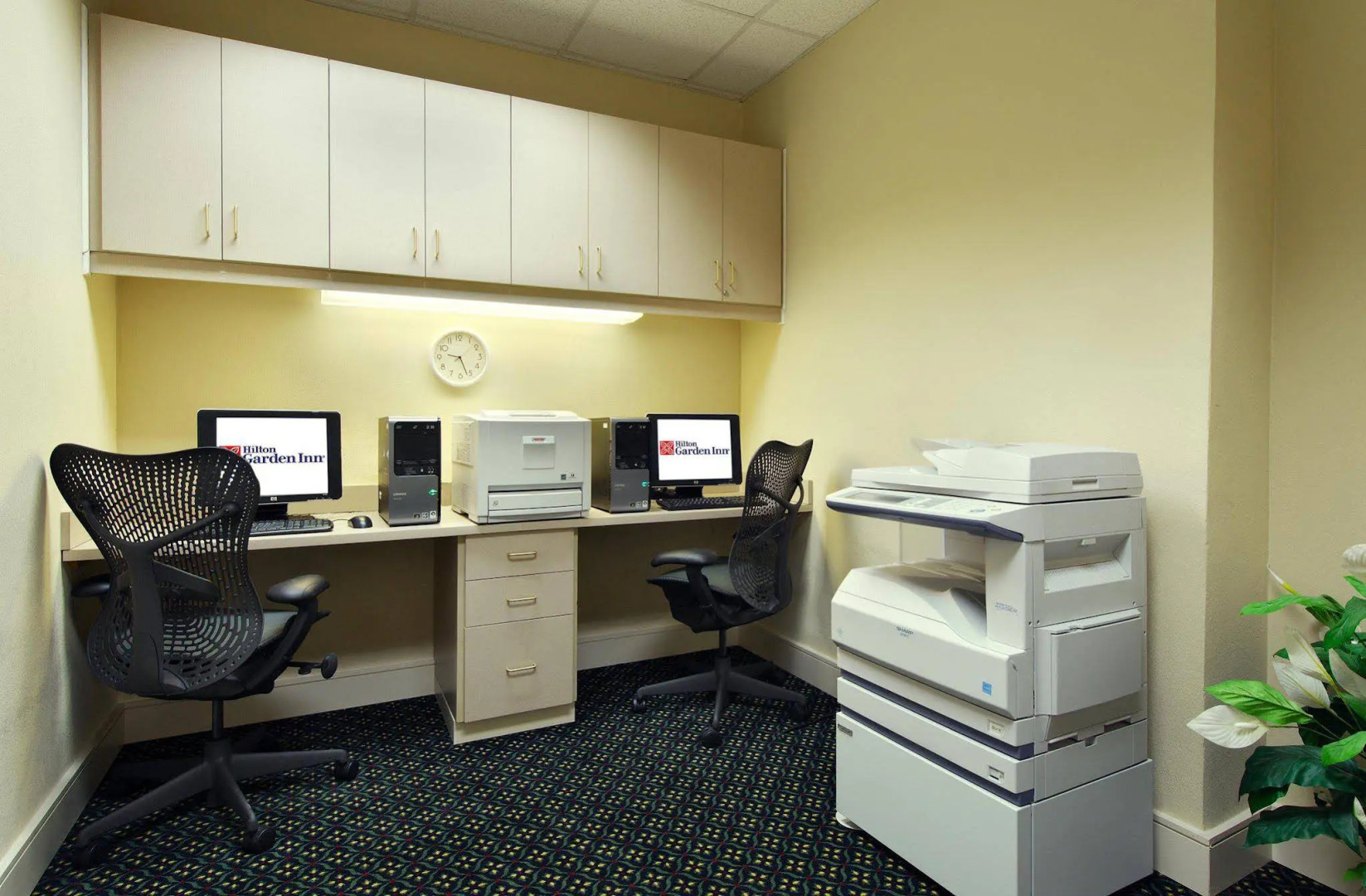 Foto - Hilton Garden Inn Hilton Head