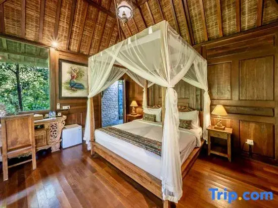 Foto - The Jungle Villa