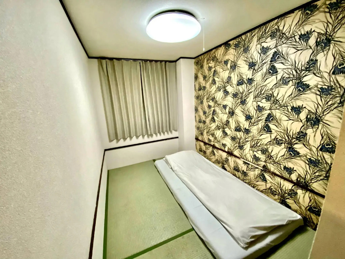 Photo - Backpackers Hotel Toyo