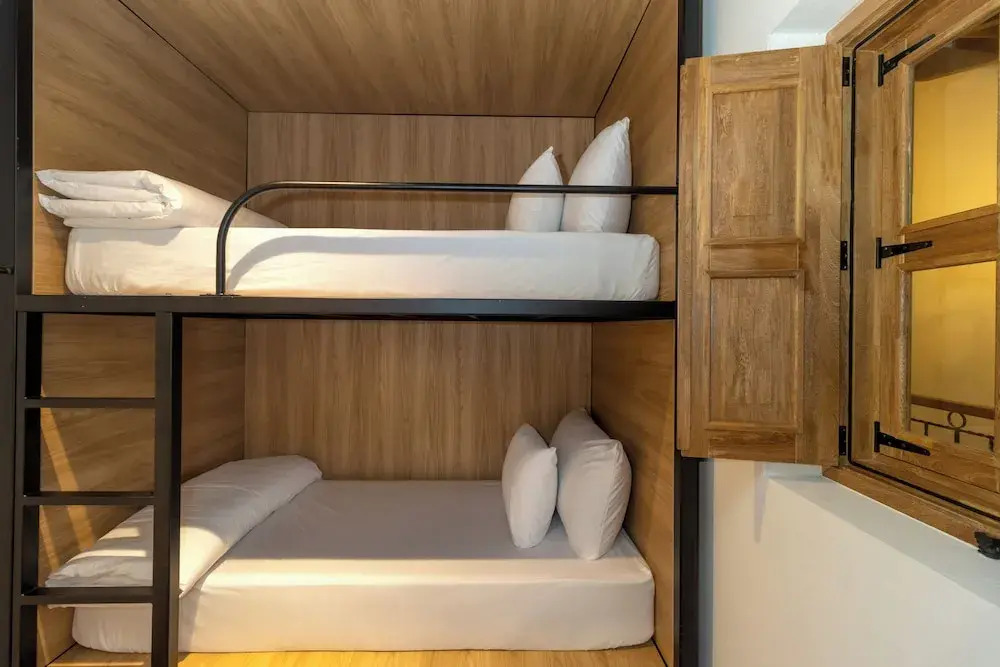 Foto - Camelia by Masaya Collection