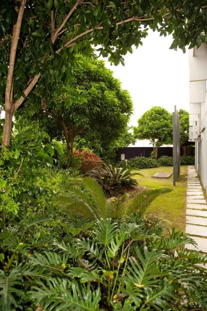 Foto - Rocklea International Motel