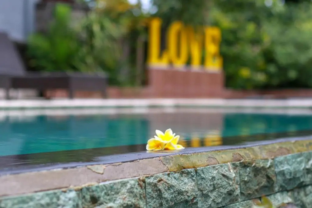 Foto - Medori Putih Homestay