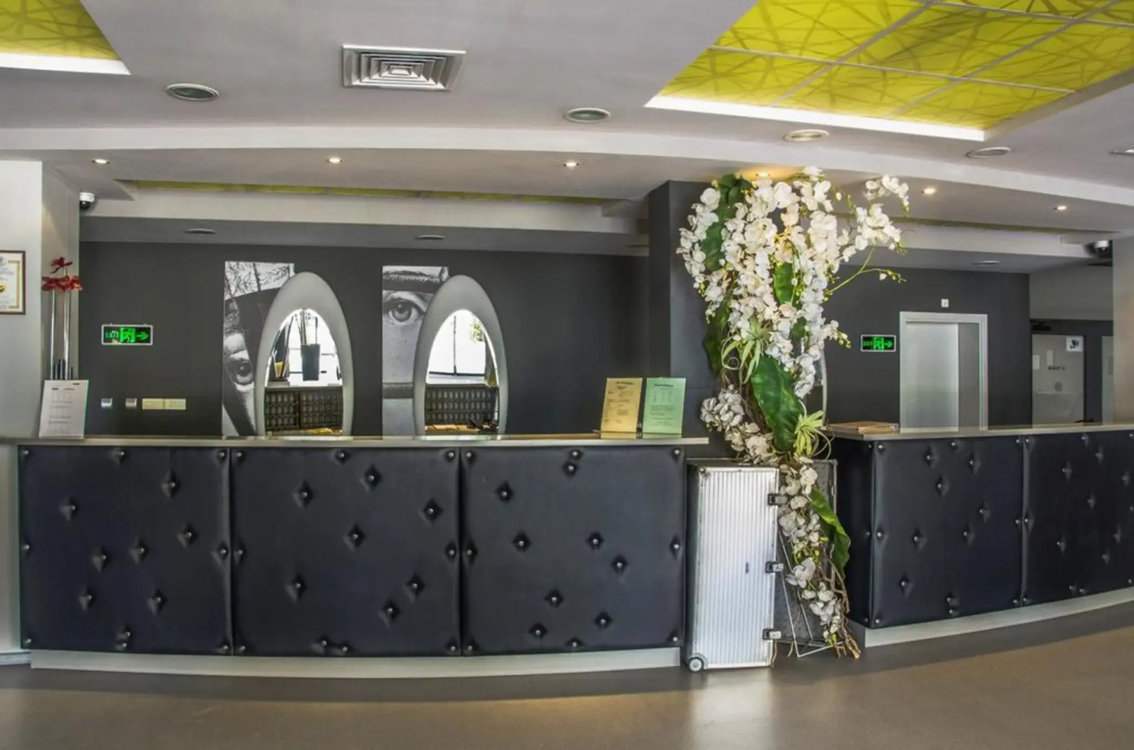 Foto - Hotel Gladiola Star