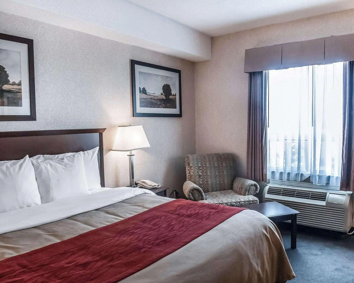 Foto - Comfort Inn Mississauga