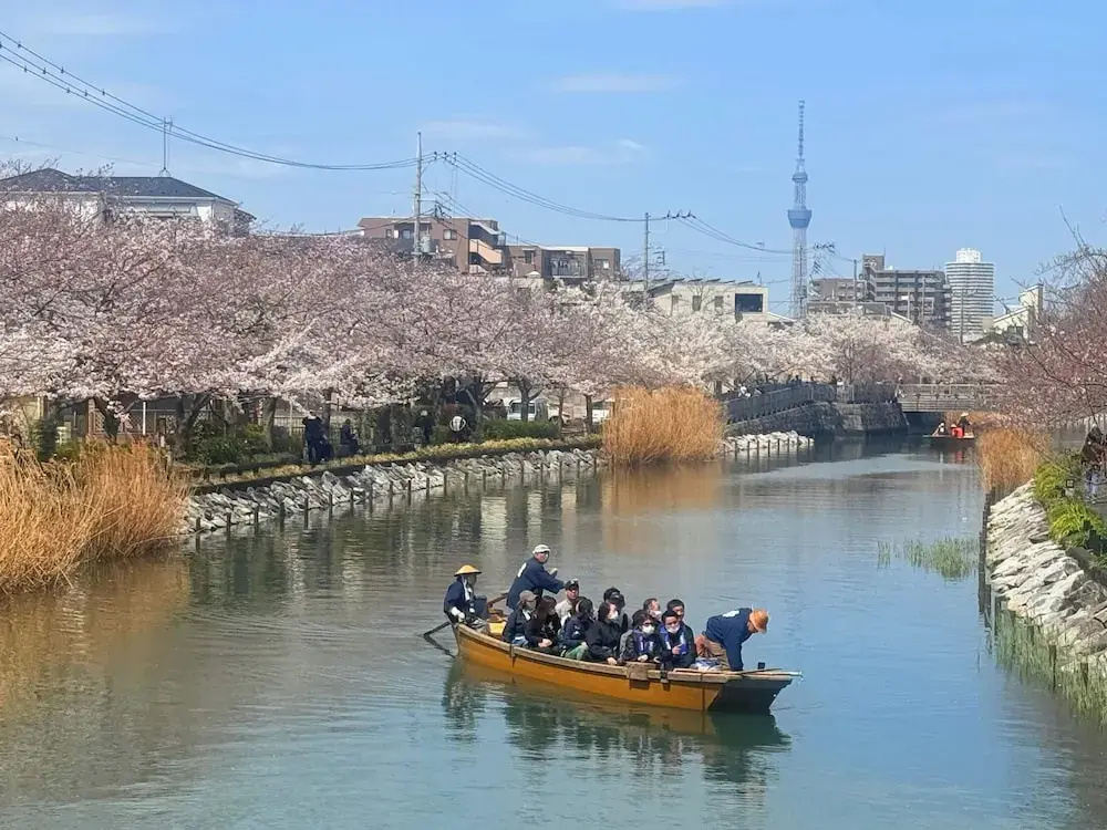 Foto - Nakakasai Kodate