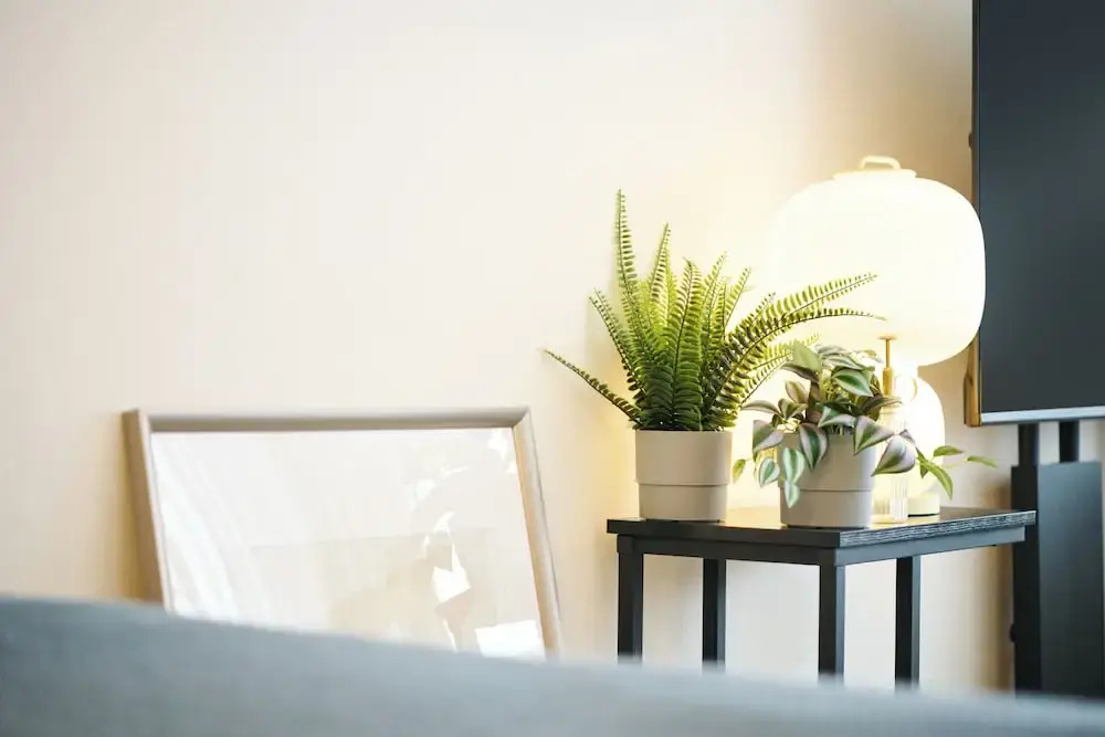Photo - Residence Hotel Liberte