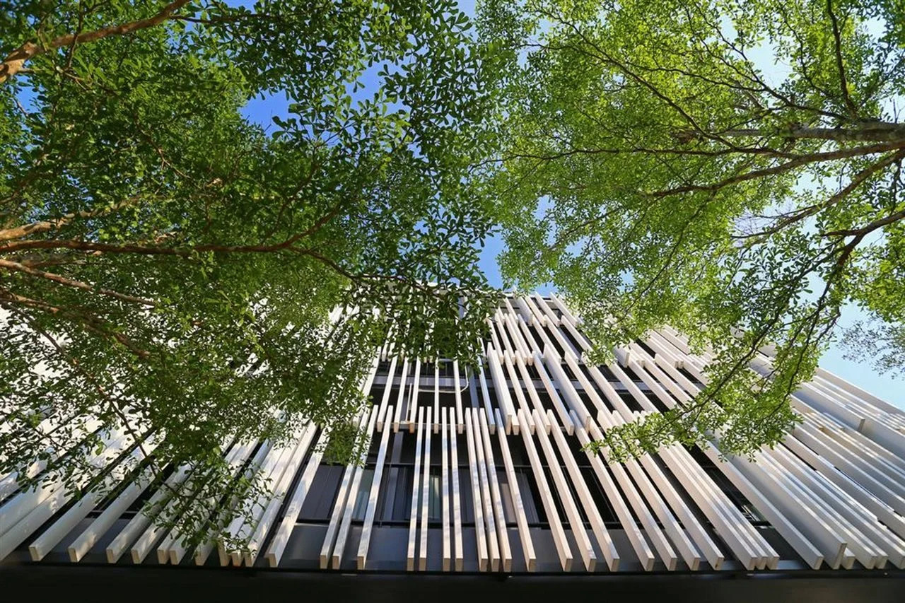 Foto - Blu Monkey Bed & Breakfast Phuket