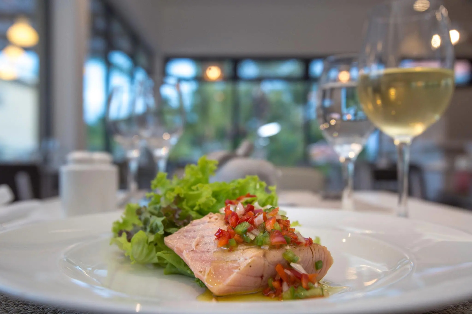 Foto - Catalonia Royal La Romana - All Inclusive - Adults Only