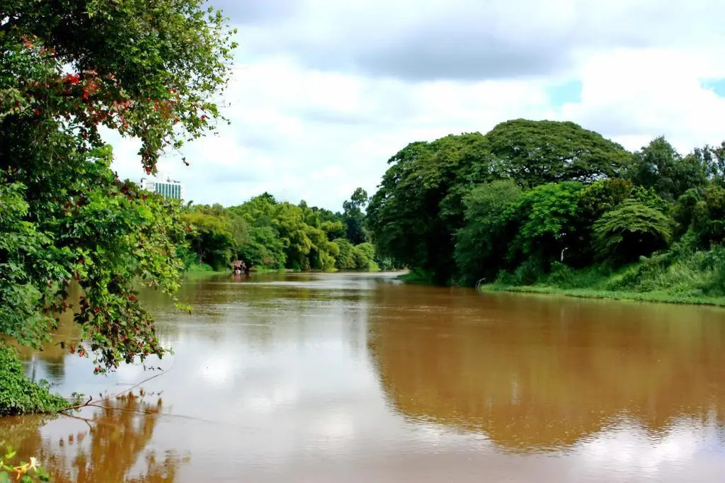 Foto - Club One Seven Gaymen Chiang Mai