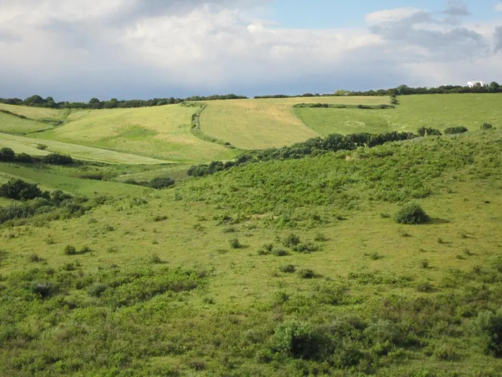 Foto - Hotel Sindhura