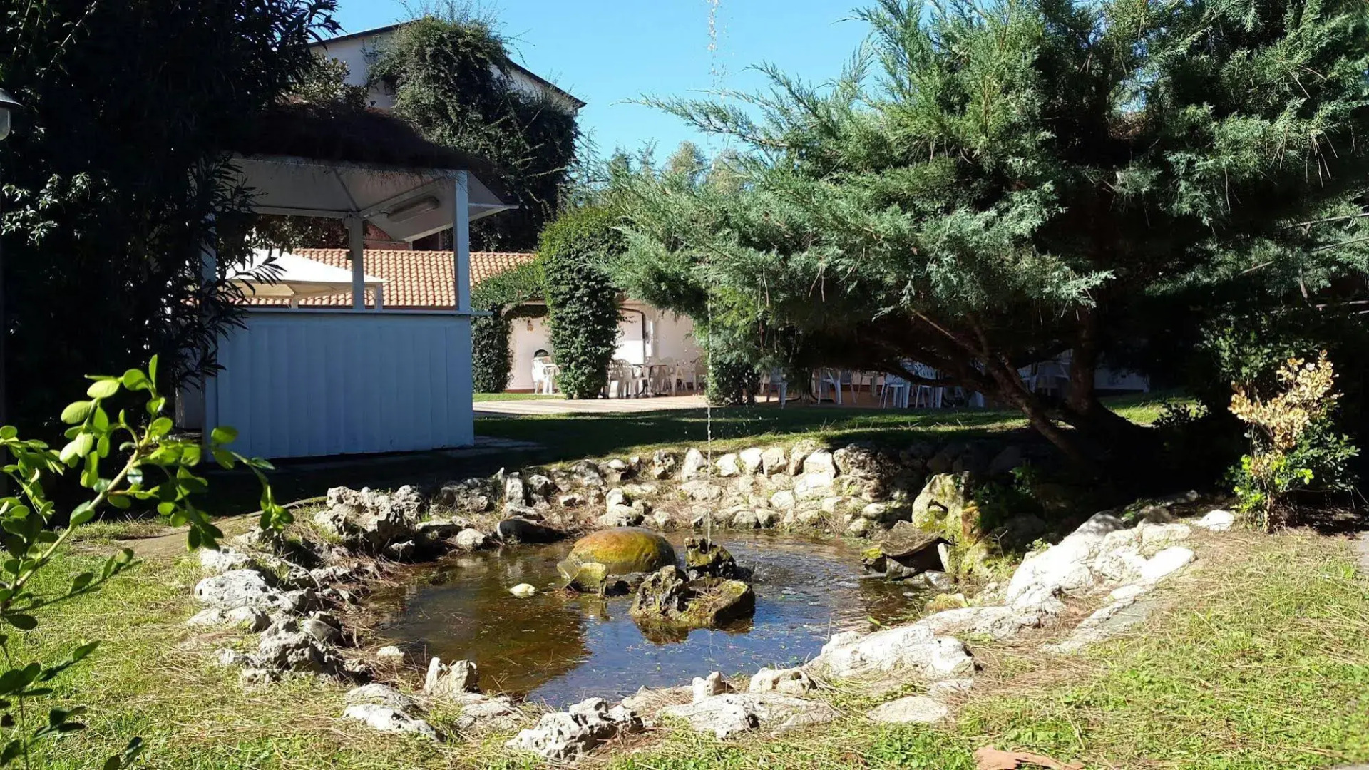 Foto - Hotel Mediterraneo