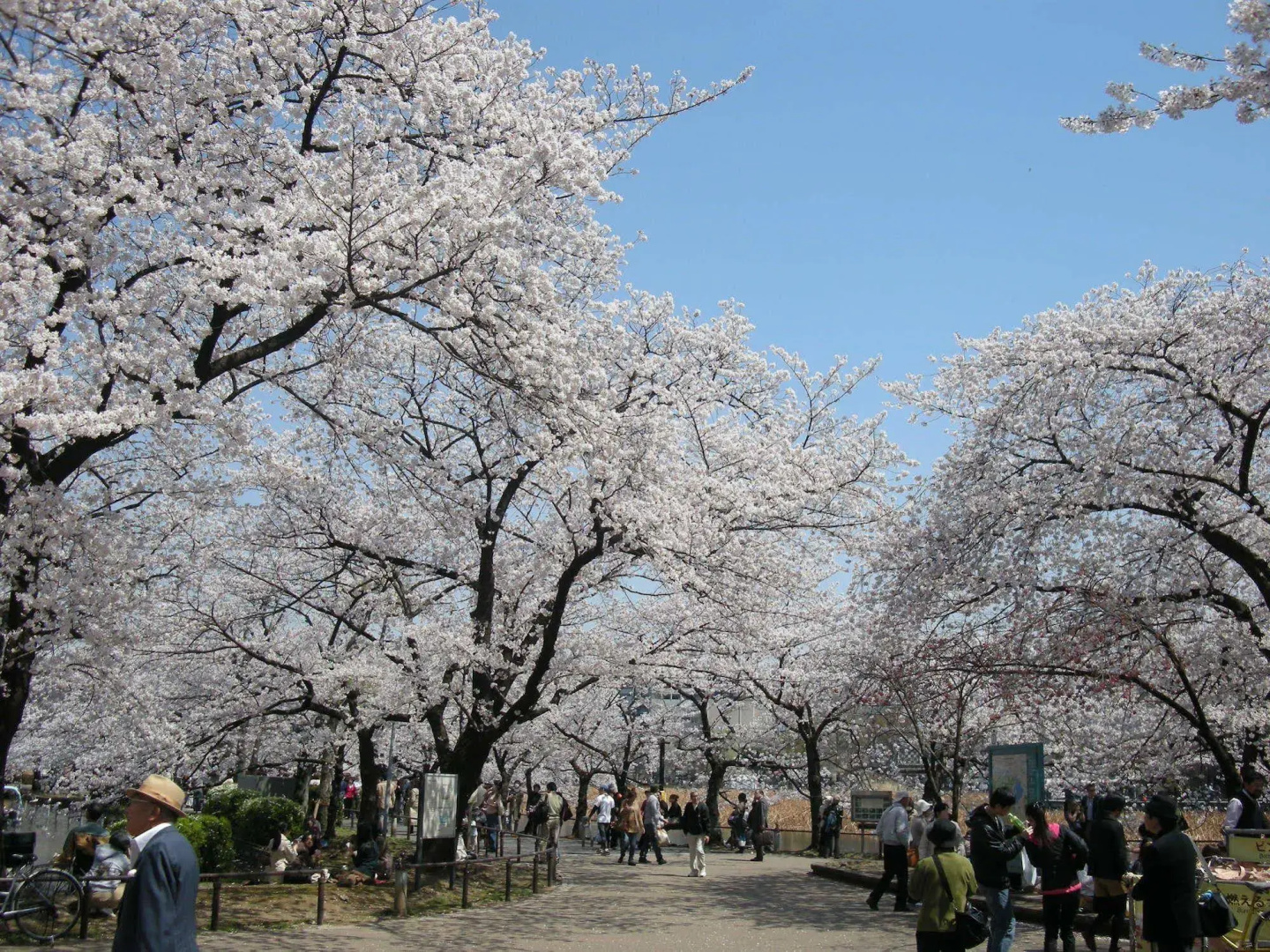 Photo - Ueno Terminal Hotel