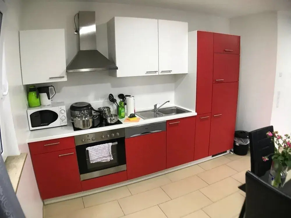 Photo - Sahara Falcon