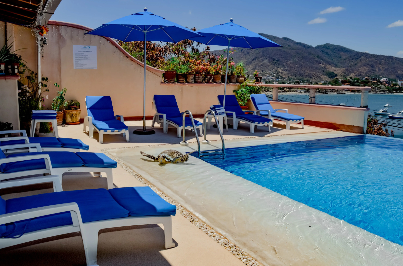 Foto - Villa del Pescador