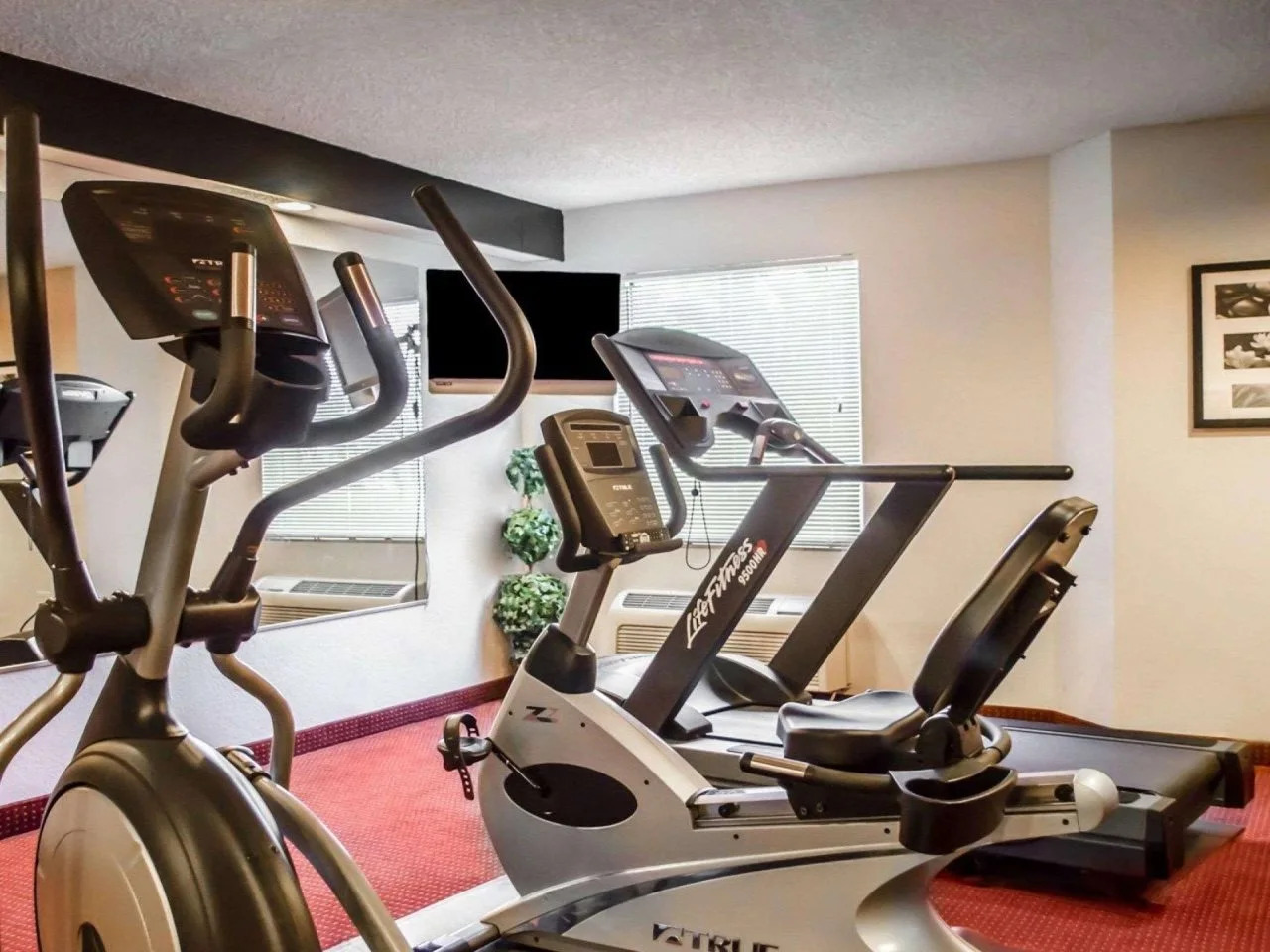 Foto - Sleep Inn near Busch Gardens - USF