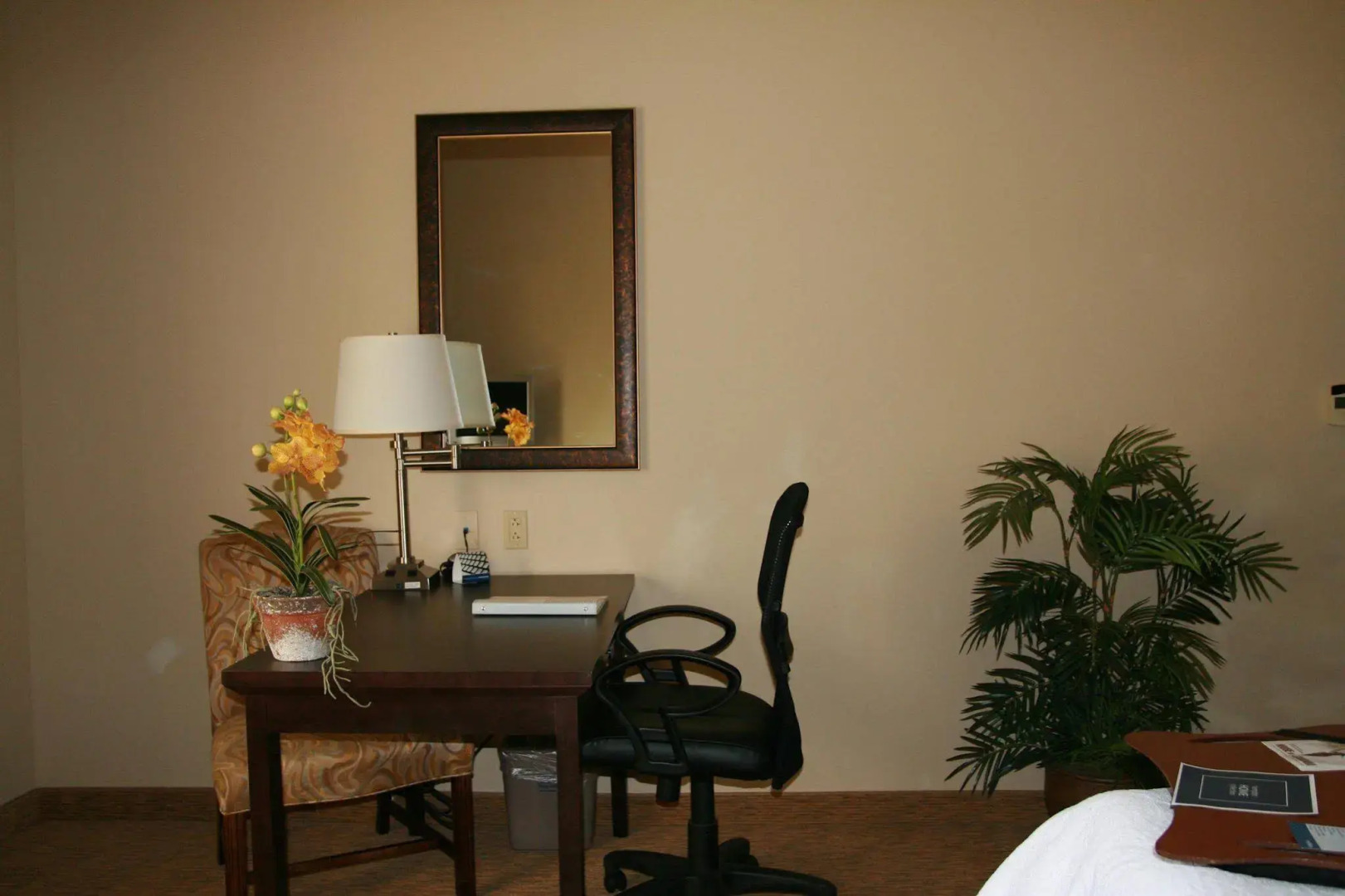 Foto - Hampton Inn & Suites Austin Cedar Park-Lakeline