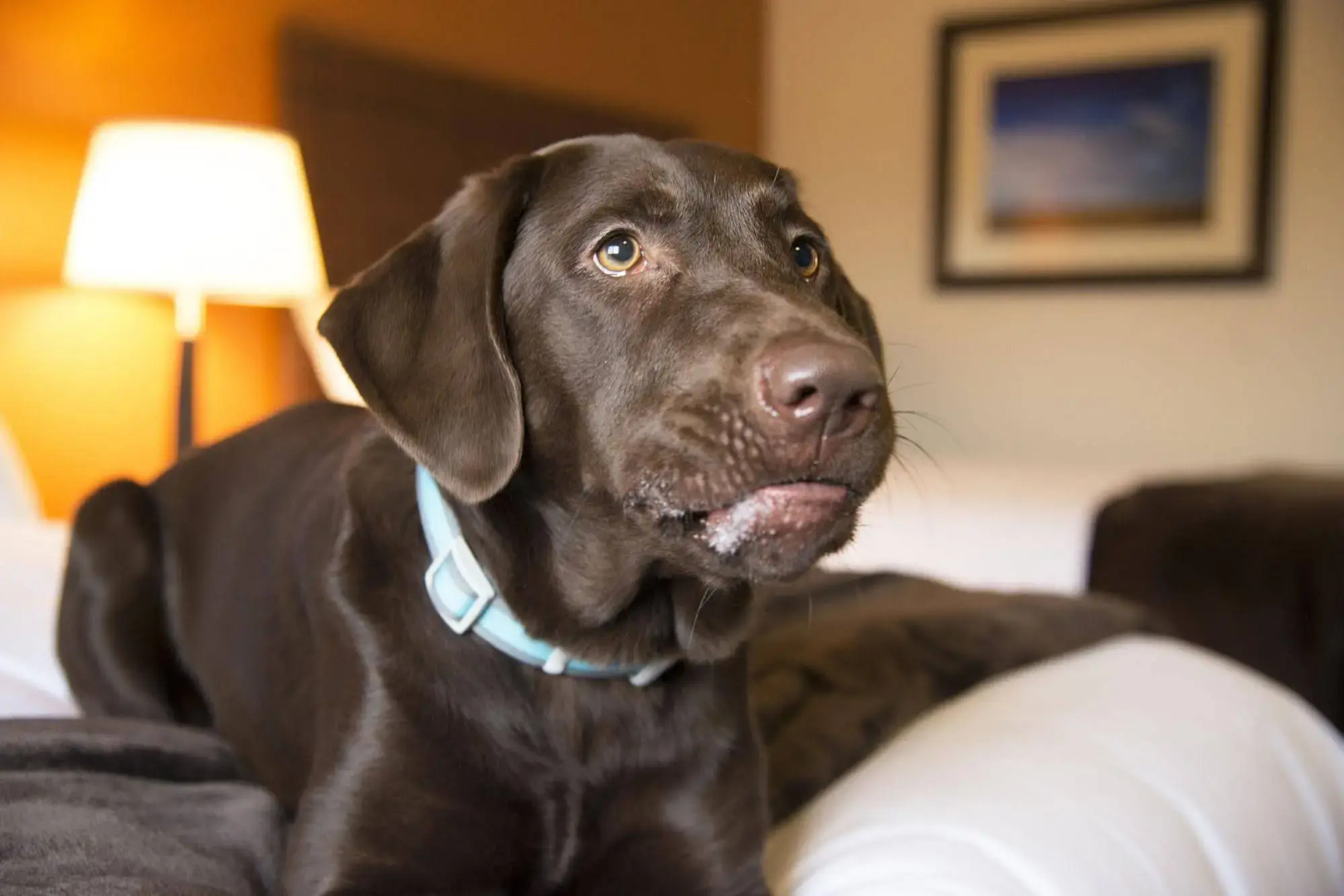 Foto - My Place Hotel- Salt Lake City I-215/West Valley City, UT