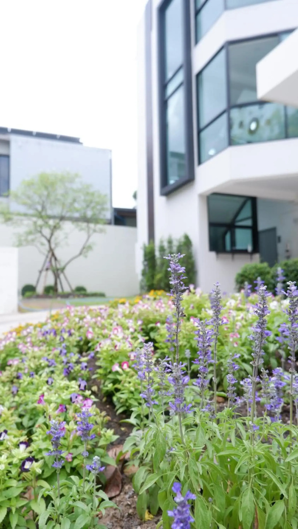 Photo - Darin Chiangmai Hotel and Residence