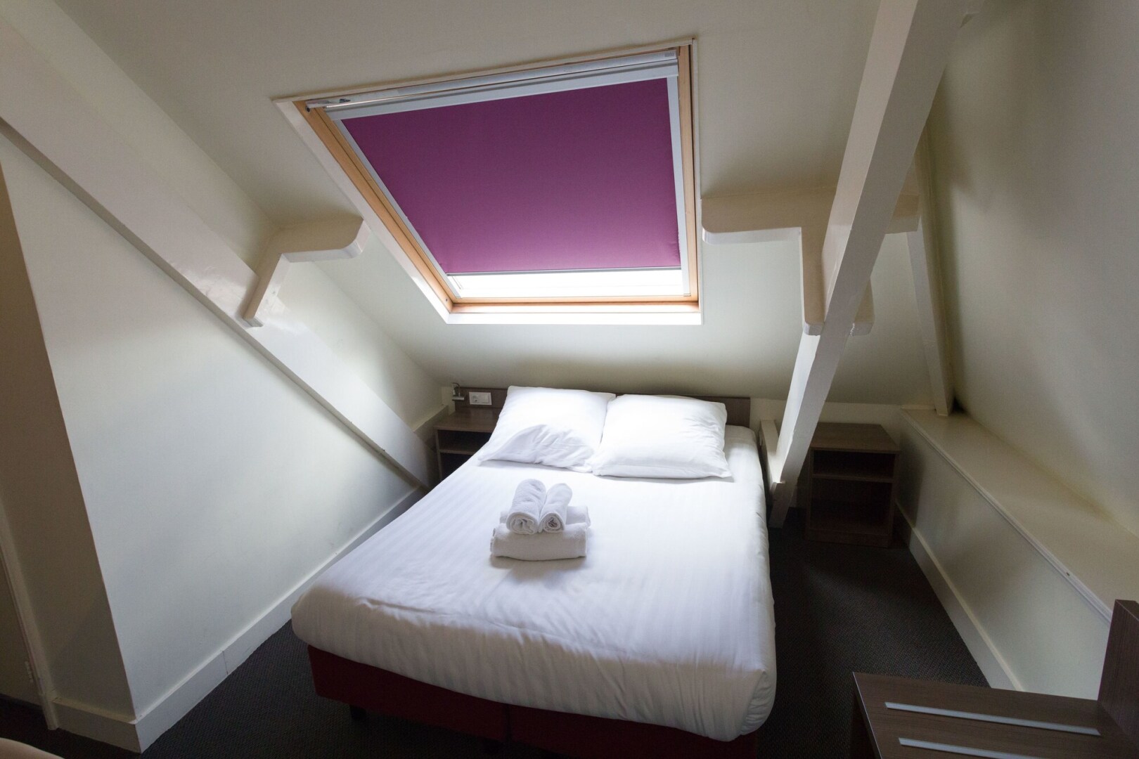 Foto - Hotel Park Plantage