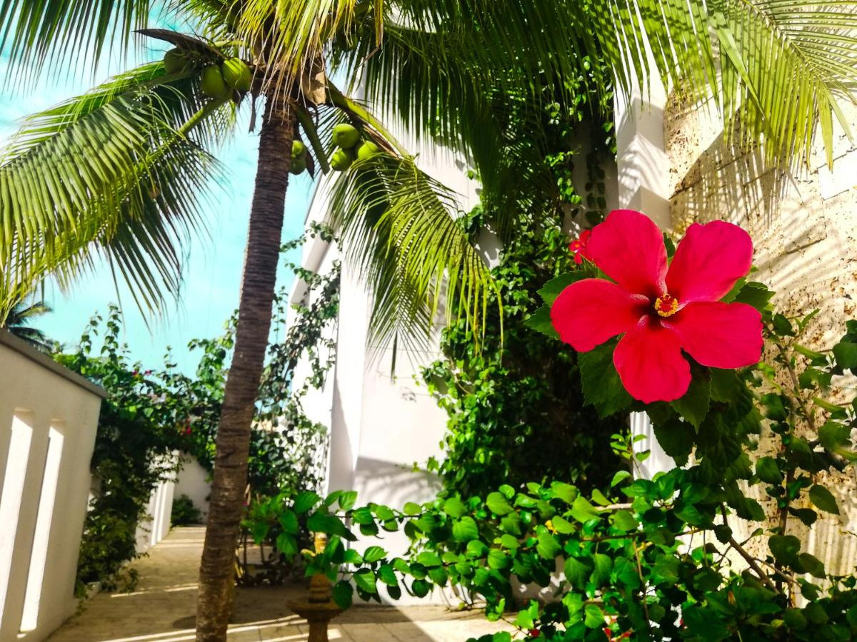 Foto - Hotel Rilux Tolu -Casa Danae-
