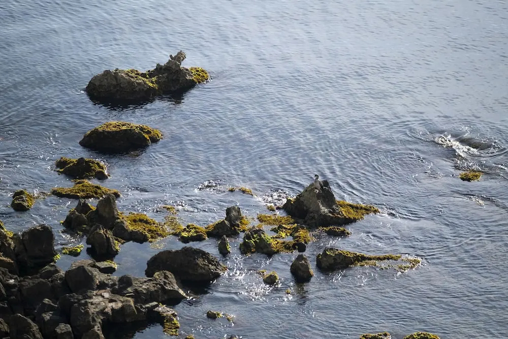 Foto - Hotel Voramar