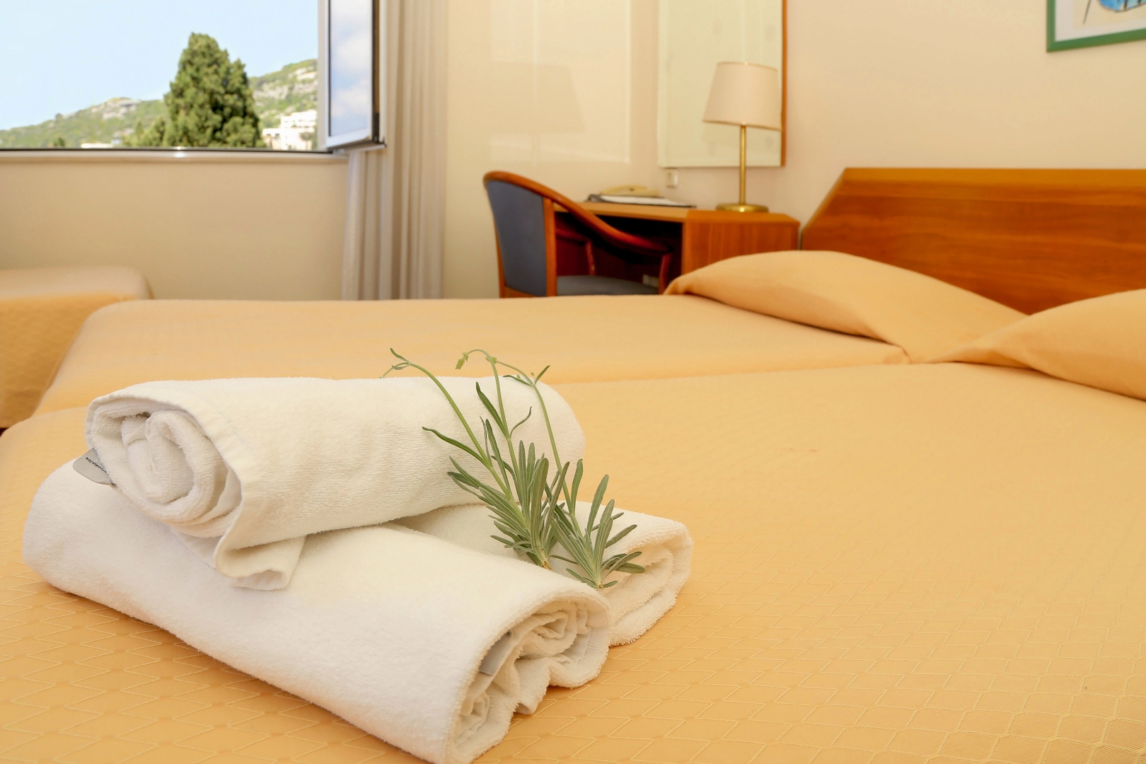 Foto - Hotel Komodor