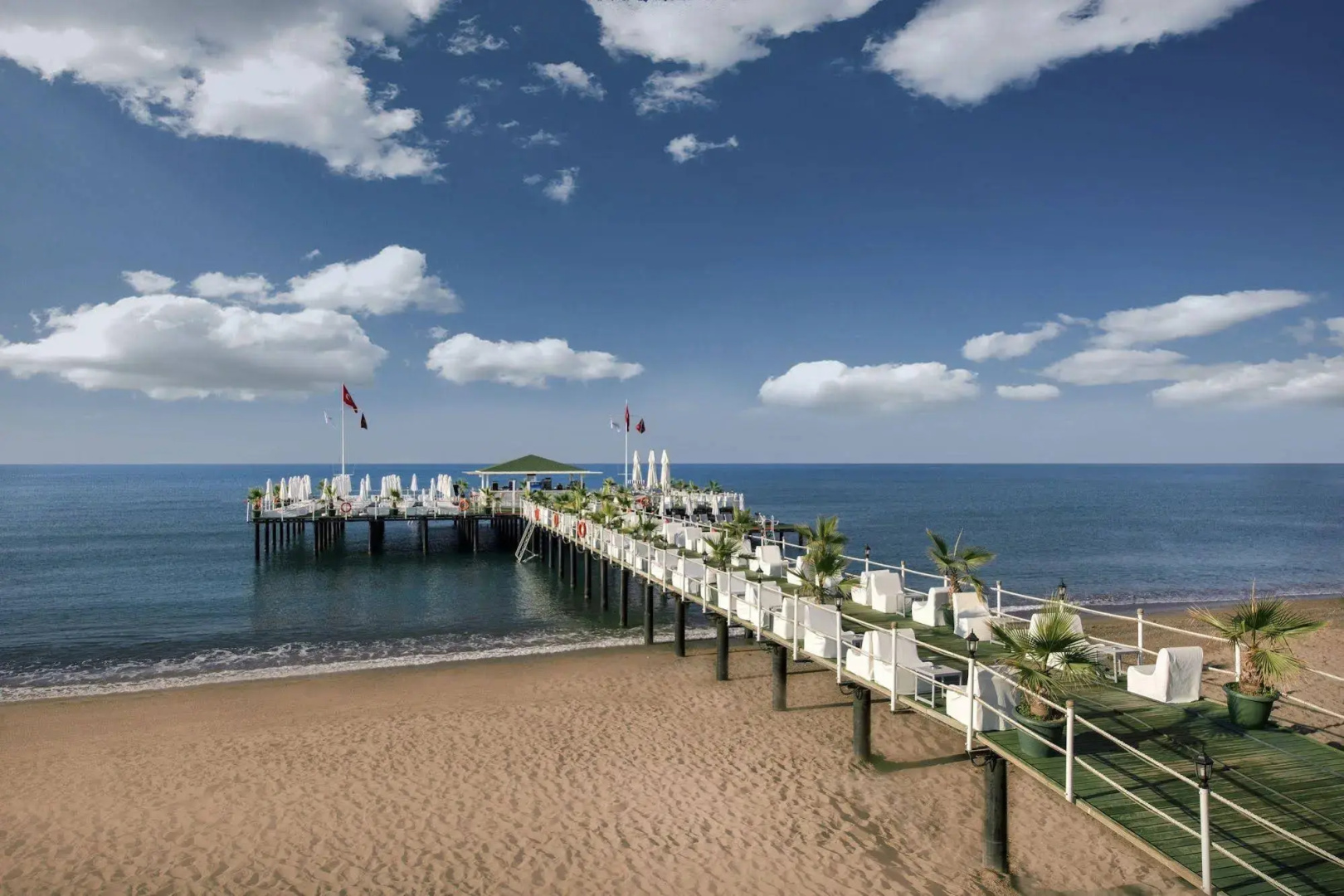 Foto - Delphin Imperial Lara