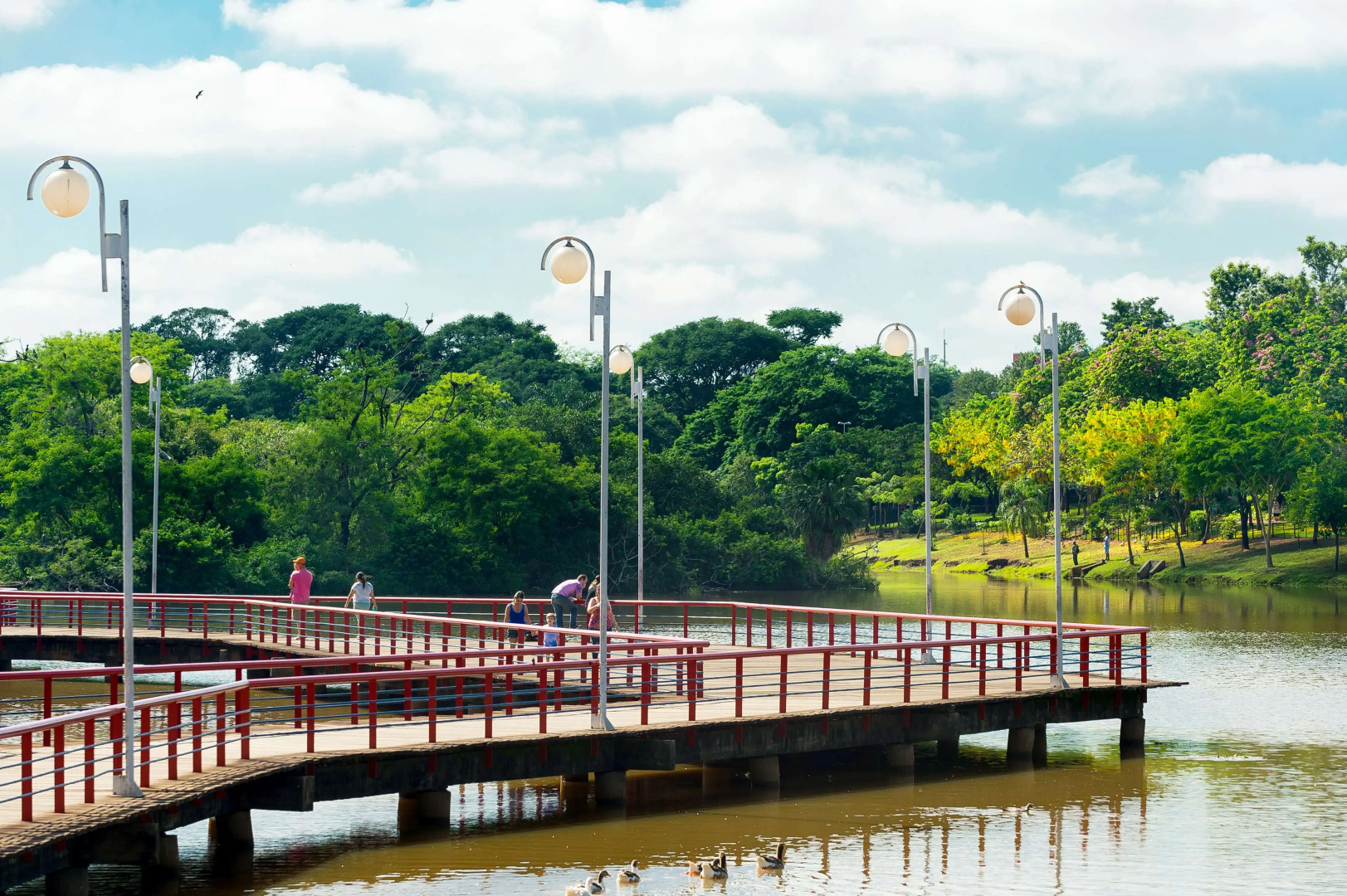 Foto - Hyatt Place Sao Jose do Rio Preto